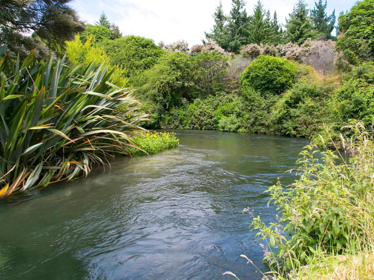 Bellbird Cottage - Lake Taupo Bach Waitahanui Esterno foto