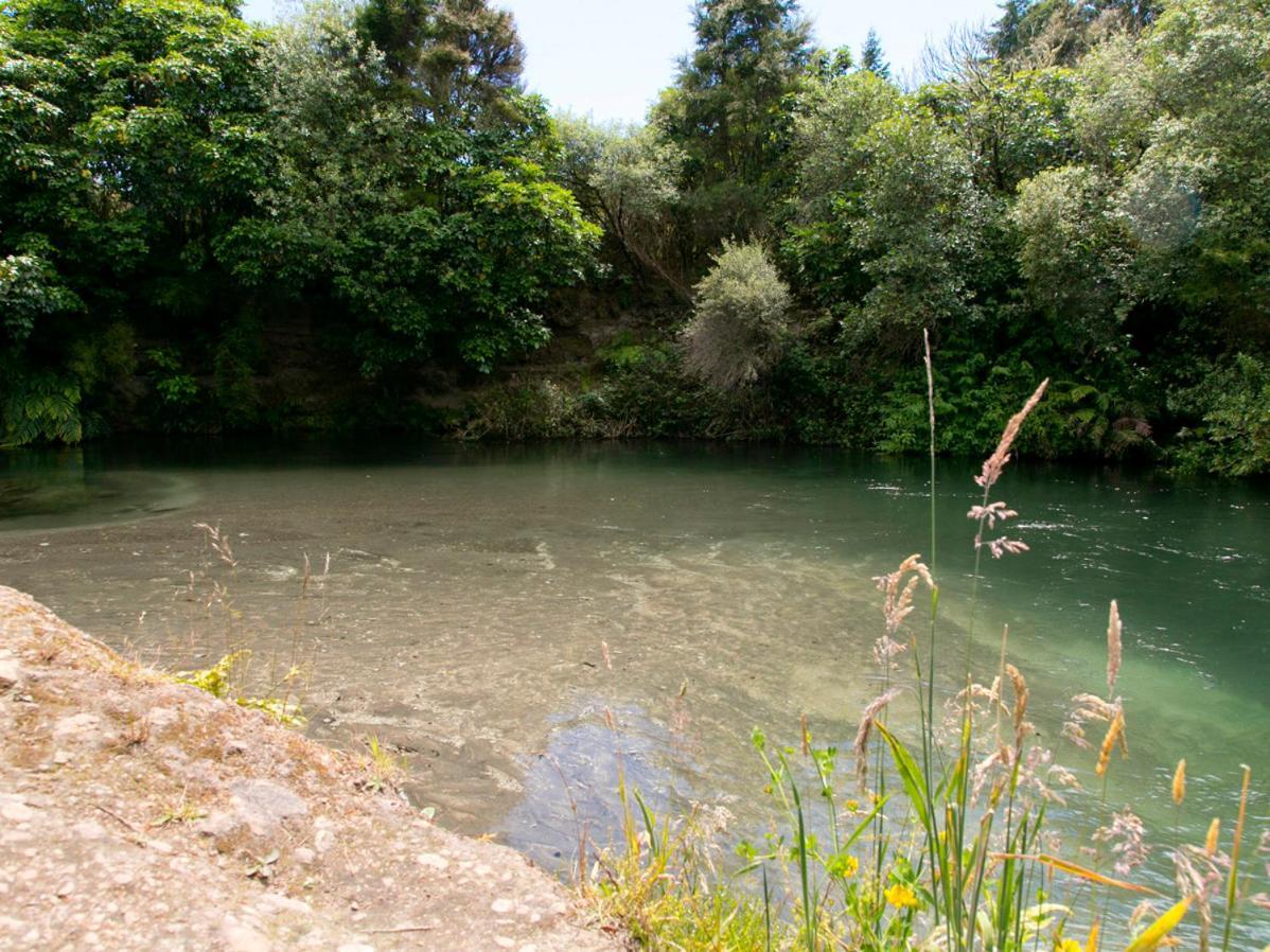 Bellbird Cottage - Lake Taupo Bach Waitahanui Esterno foto