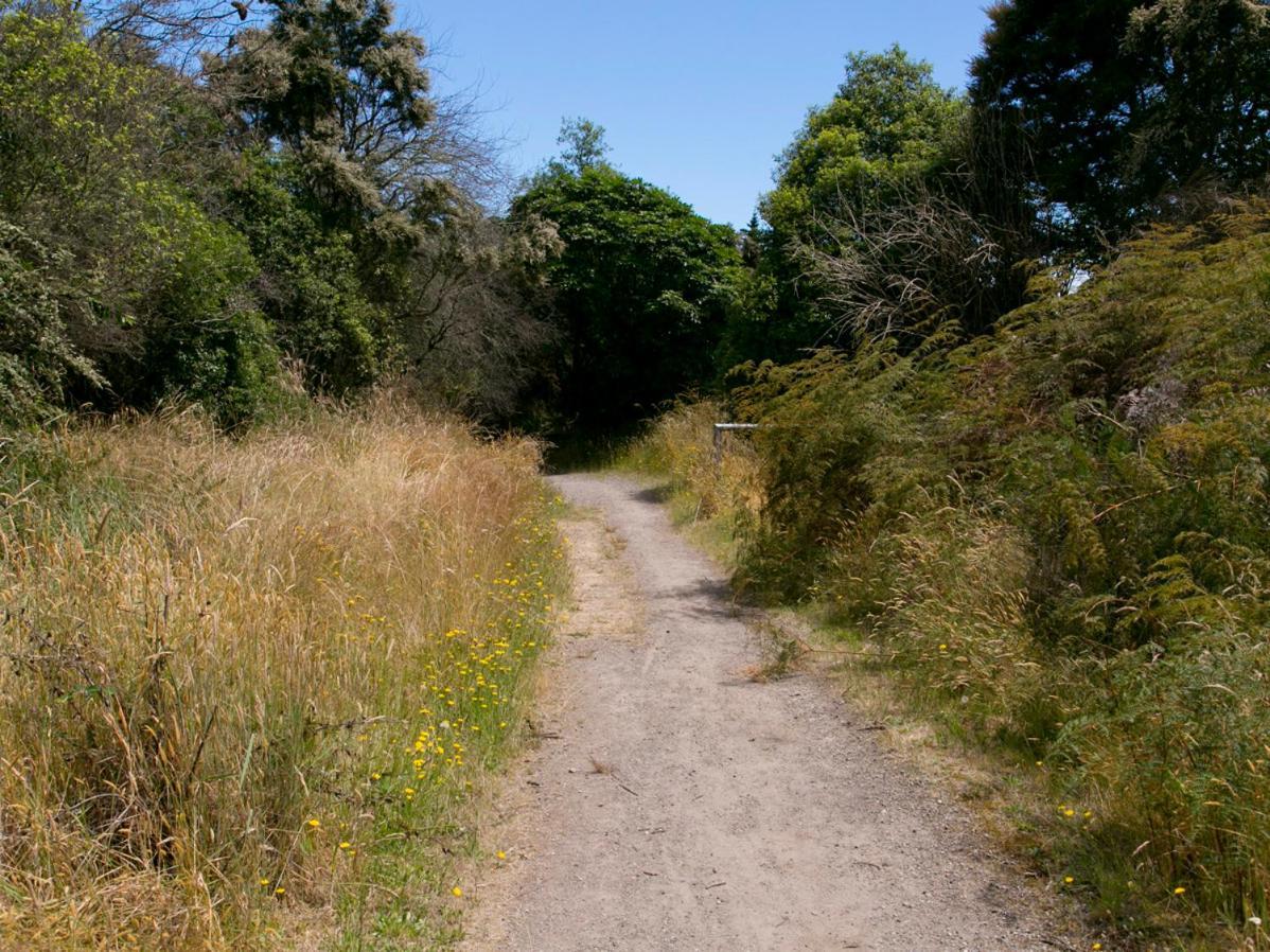 Bellbird Cottage - Lake Taupo Bach Waitahanui Esterno foto